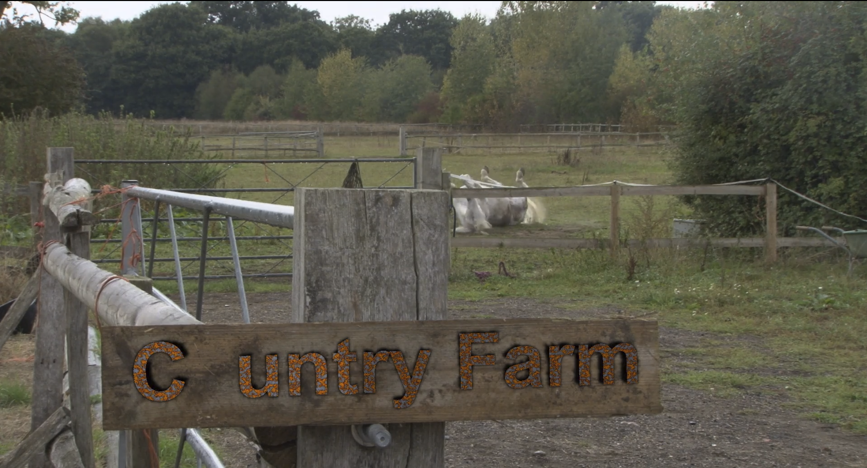 Cuntry Farm Cuntry Farm